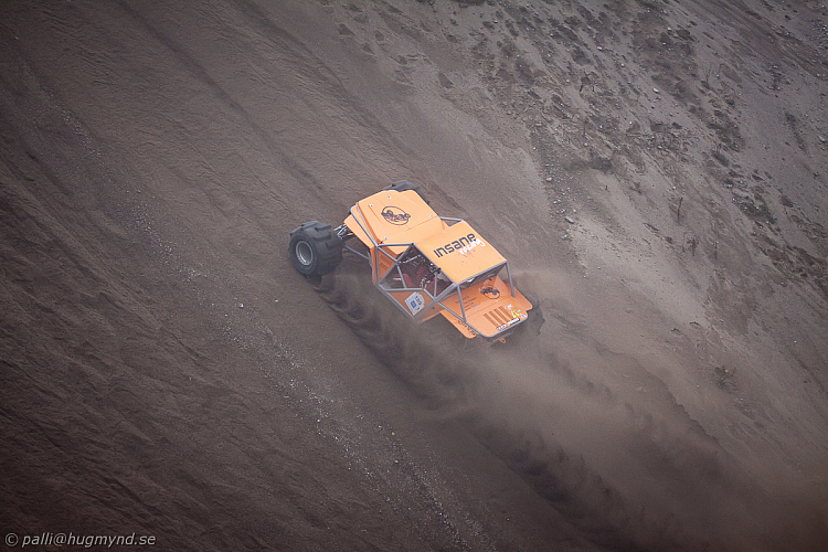 Martin Michaelsen, Insane