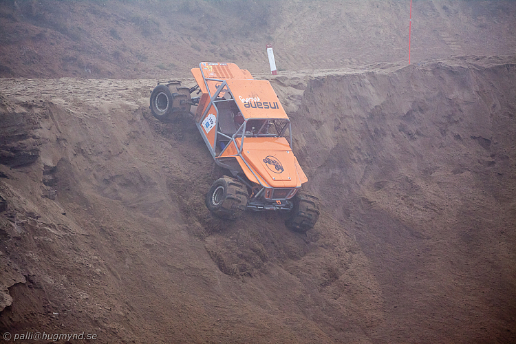 Martin Michaelsen, Insane