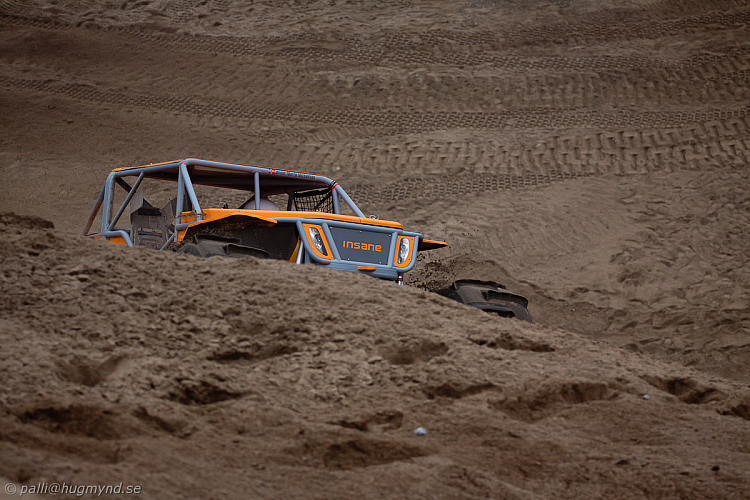 Martin Michaelsen, Insane