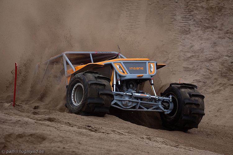 Martin Michaelsen, Insane