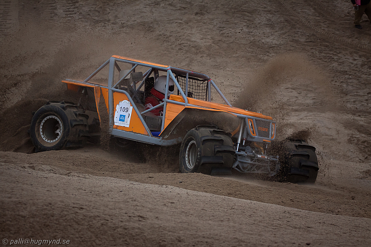 Martin Michaelsen, Insane