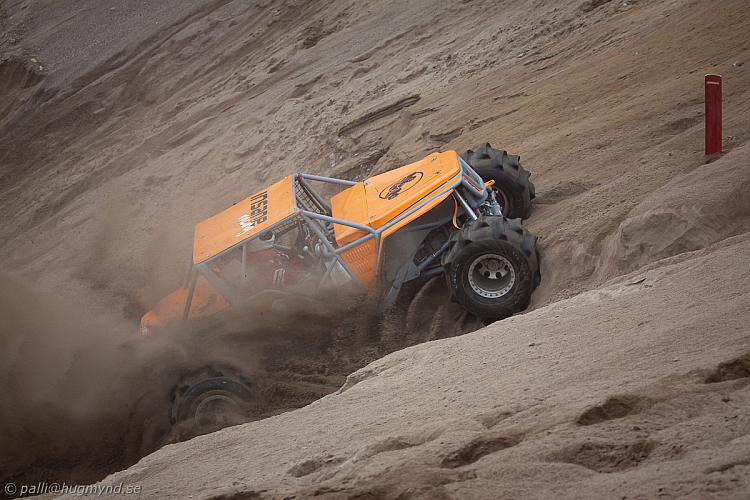 Martin Michaelsen, Insane