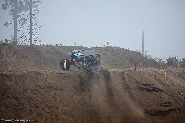 Ronny Pedersen , Troll