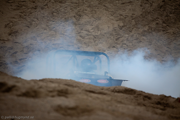 Ronny Pedersen , Troll