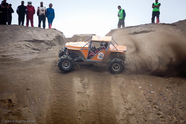 Martin Michaelsen, Insane