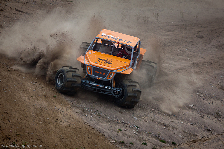 Martin Michaelsen, Insane