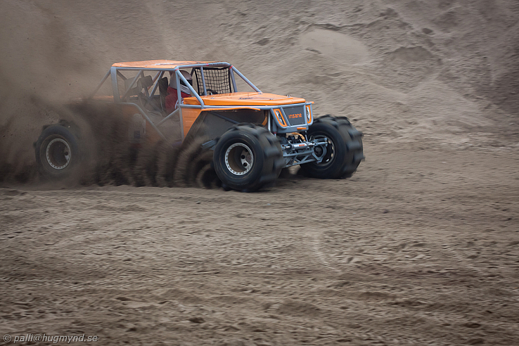 Martin Michaelsen, Insane