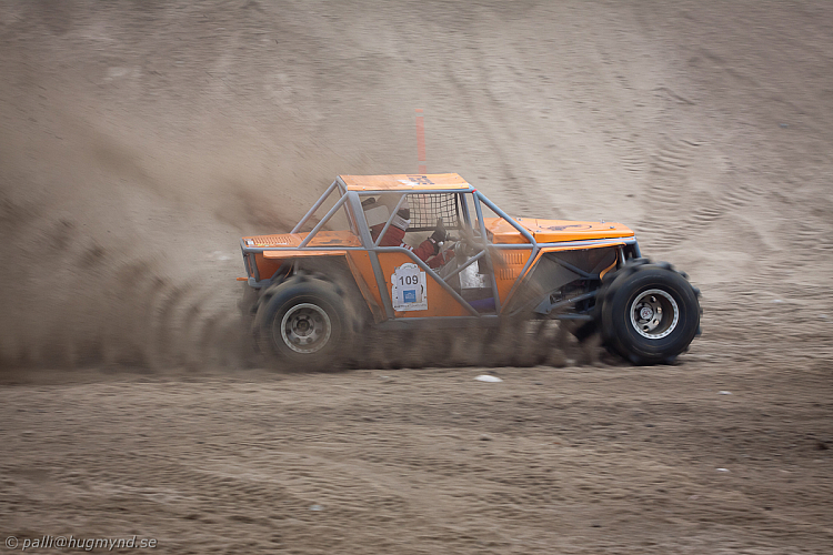 Martin Michaelsen, Insane