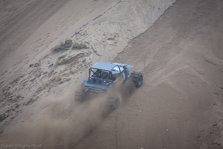 Ronny Pedersen, Troll