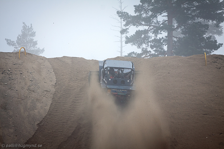 Ronny Pedersen, Troll