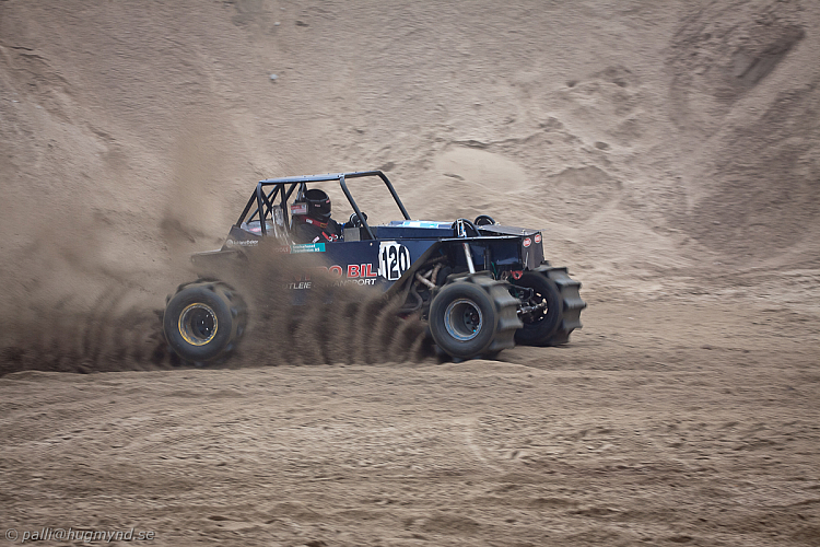 Ronny Pedersen, Troll