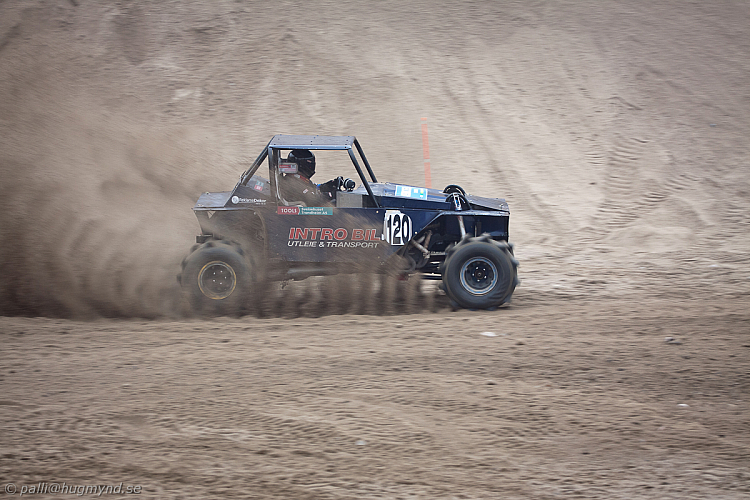 Ronny Pedersen, Troll