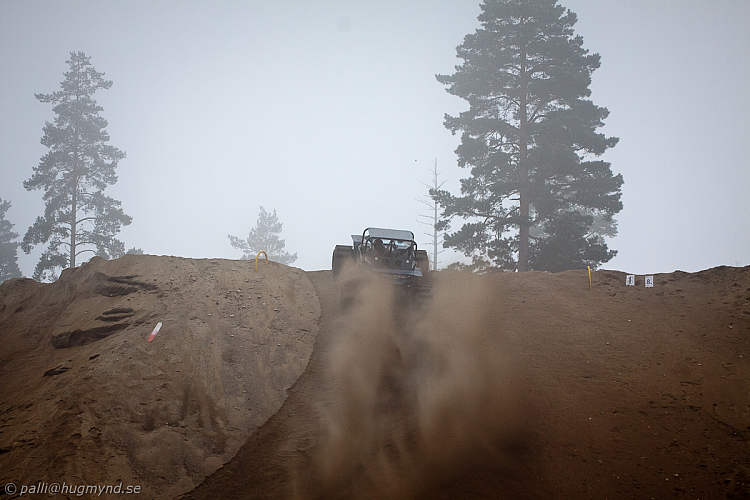 Ronny Pedersen, Troll