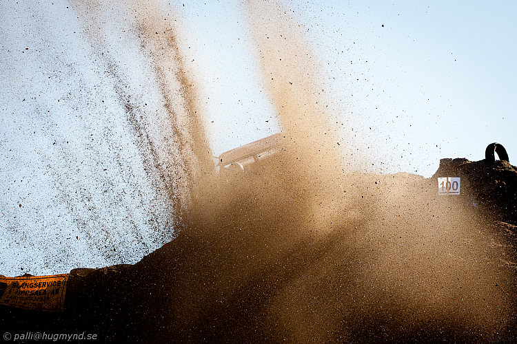 Martin Michaelsen, Insane