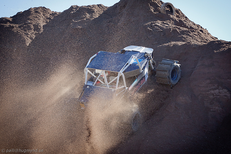 Ronny Pedersen, Troll