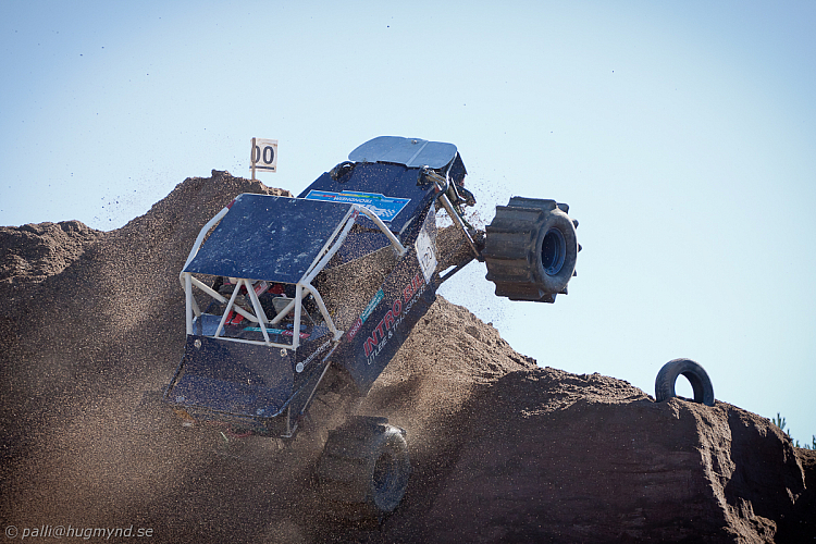 Ronny Pedersen, Troll