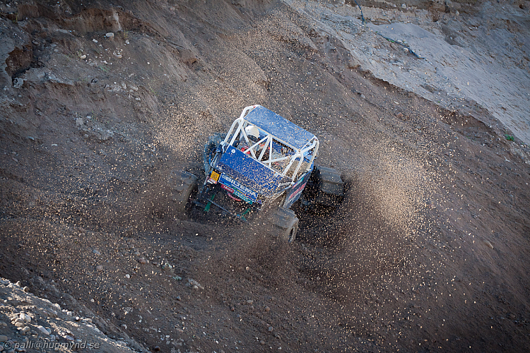 Ronny Pedersen, Troll