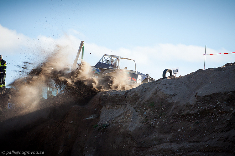 Ronny Pedersen, Troll