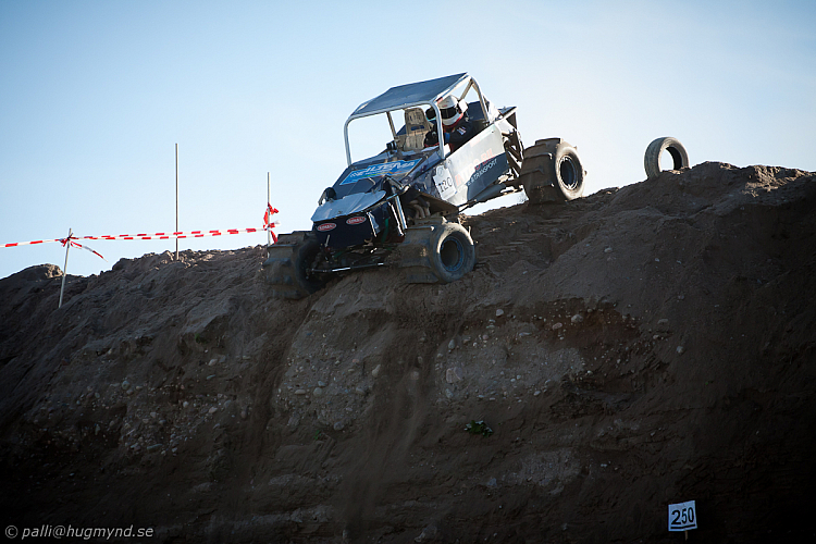 Ronny Pedersen, Troll