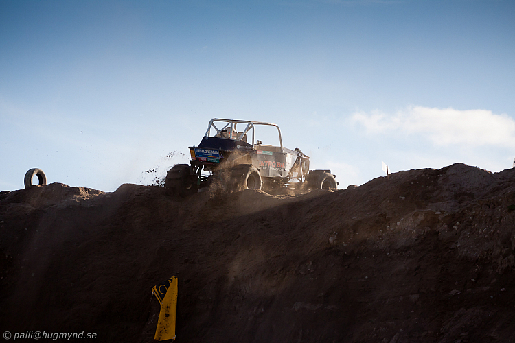 Ronny Pedersen, Troll