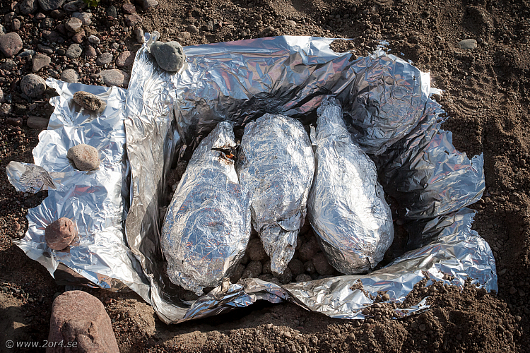 Íslendskt lamb í Svíþjóð