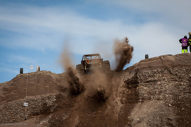 Martin Michaelsen,  Insane