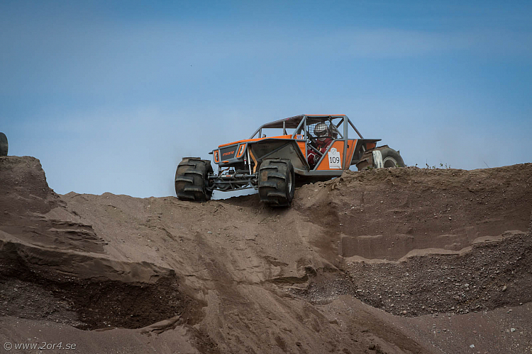 Martin Michaelsen,  Insane