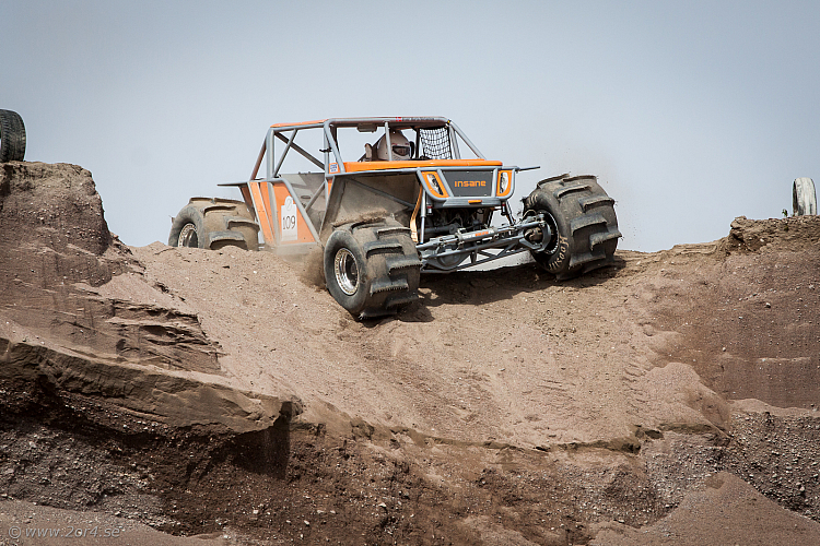 Martin Michaelsen, Insane