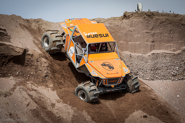 Martin Michaelsen, Insane