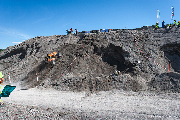 Martin Michaelsen, Insane