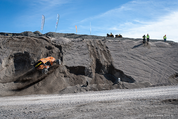 Martin Michaelsen, Insane