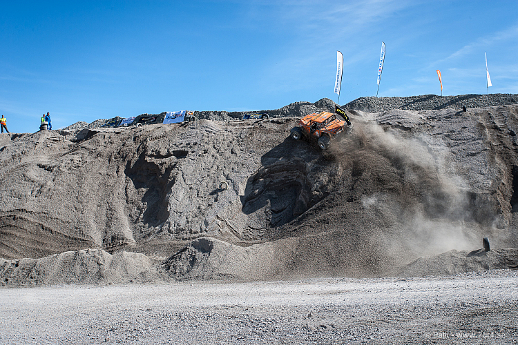 Martin Michaelsen, Insane