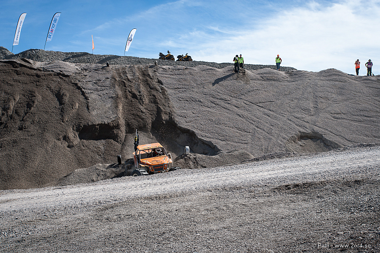 Martin Michaelsen, Insane