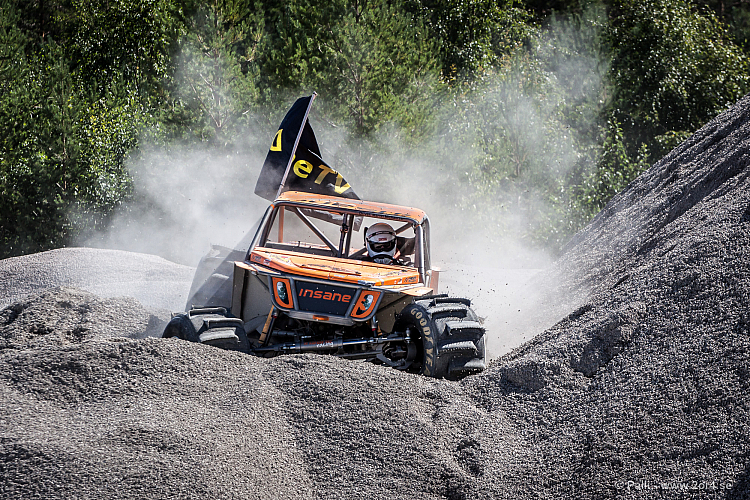 Martin Michaelsen, Insane