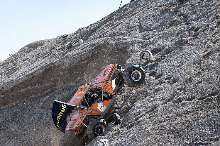 Martin Michaelsen, Insane