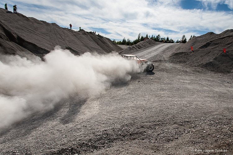 Martin Michaelsen, Insane