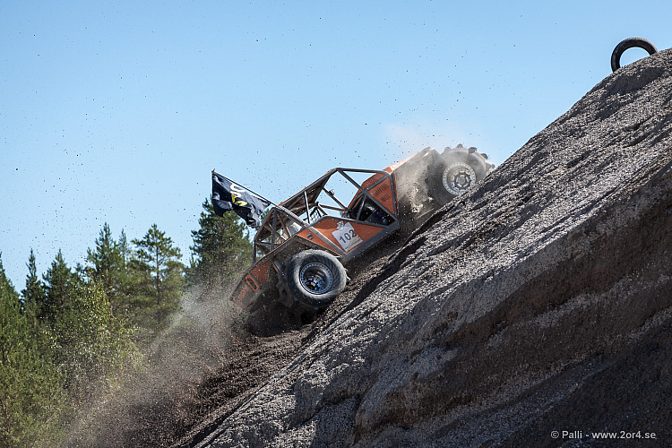 Martin Michaelsen, Insane