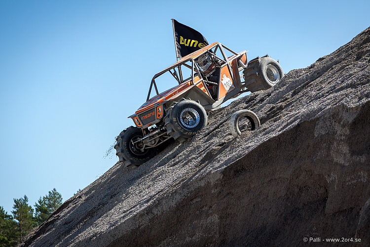 Martin Michaelsen, Insane