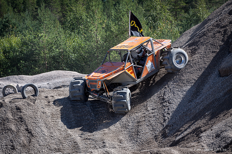 Martin Michaelsen, Insane