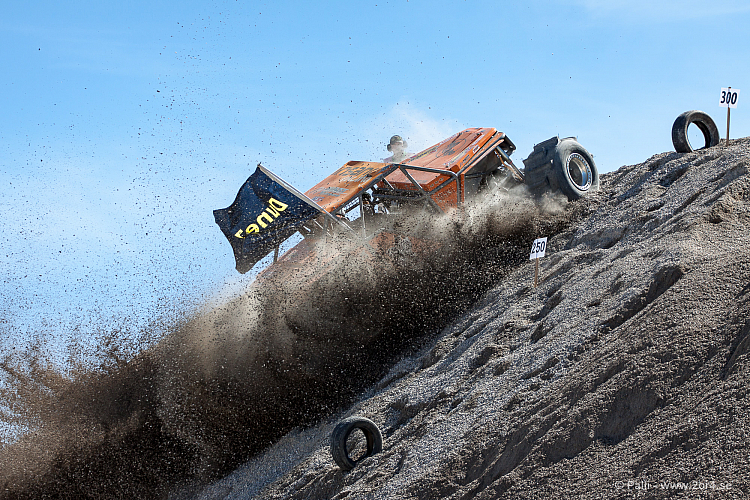 Martin Michaelsen, Insane