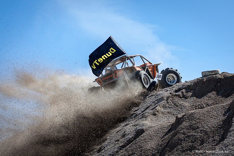 Martin Michaelsen, Insane