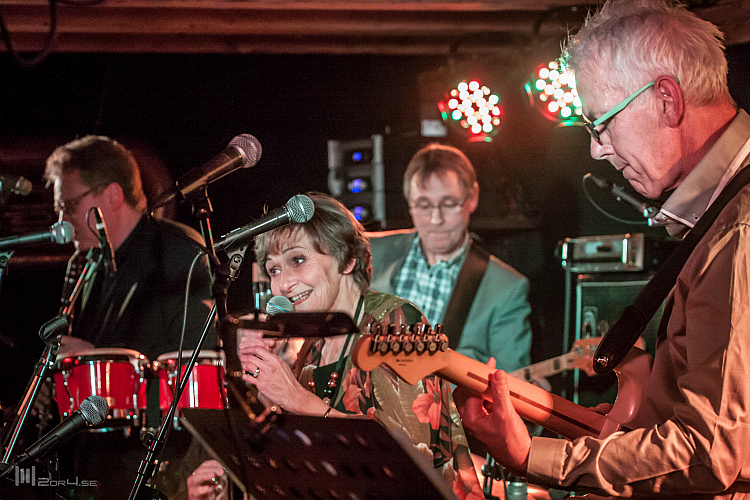 Helena Eyjólfsdóttir - Græni Hatturinn