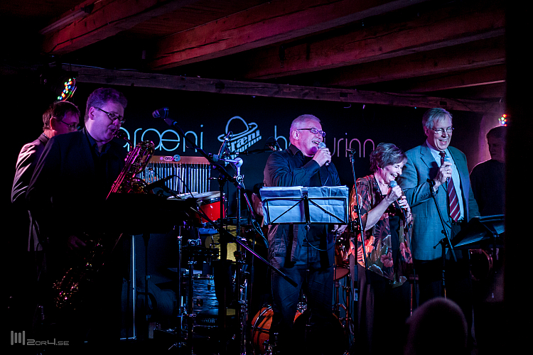 Helena Eyjólfsdóttir - Græni Hatturinn