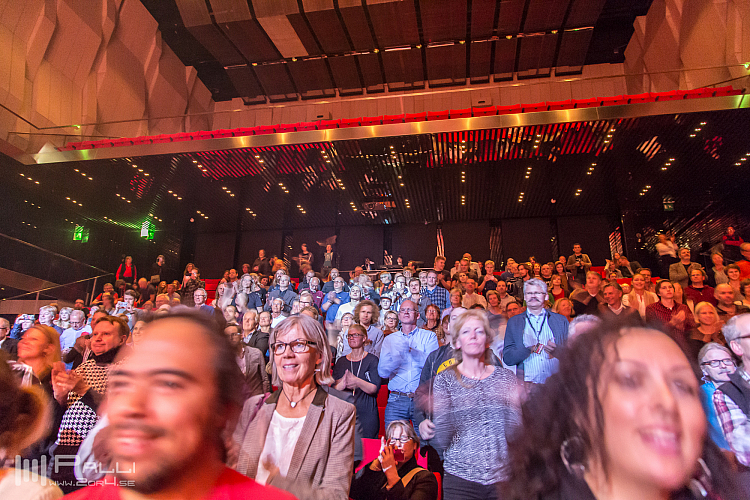 Jennifer Batten band