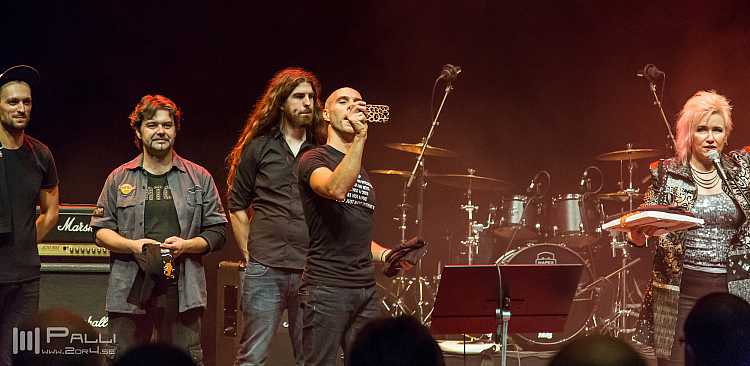 Jennifer Batten band