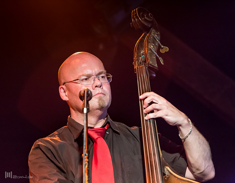 Freediving Blues Band