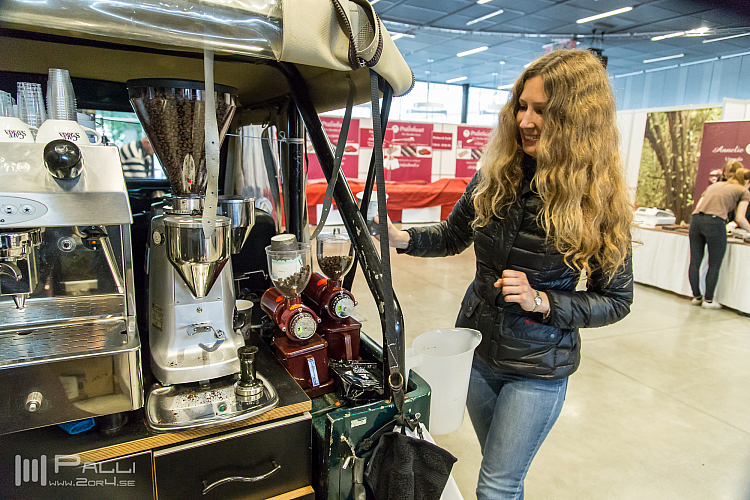 Timmen innan festivalen