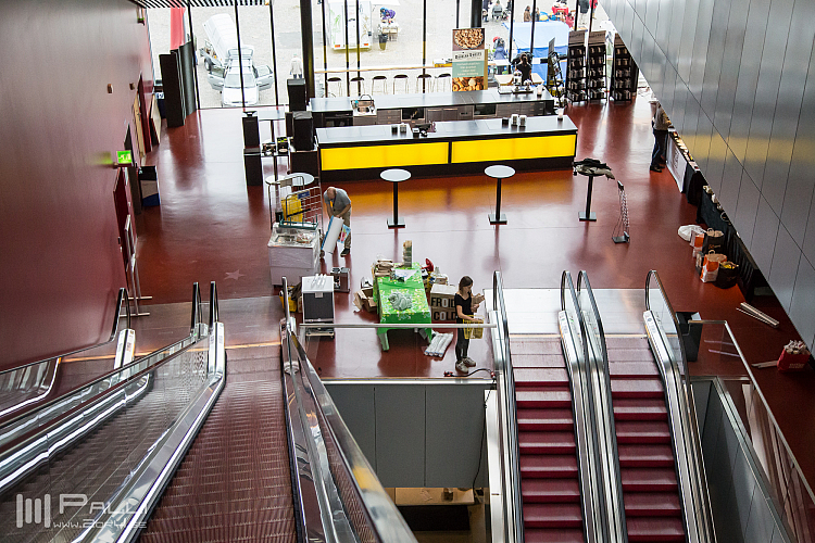 Timmen innan festivalen