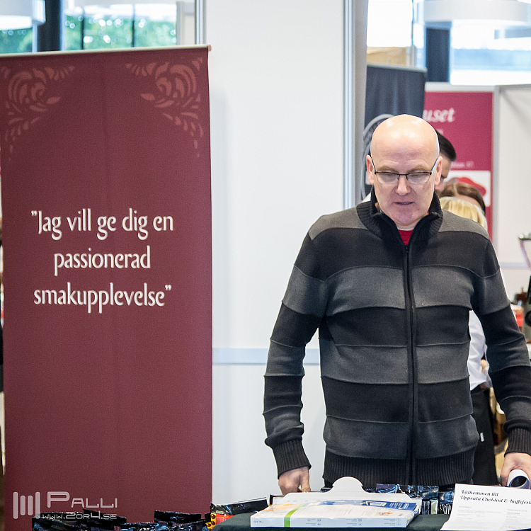 Timmen innan festivalen