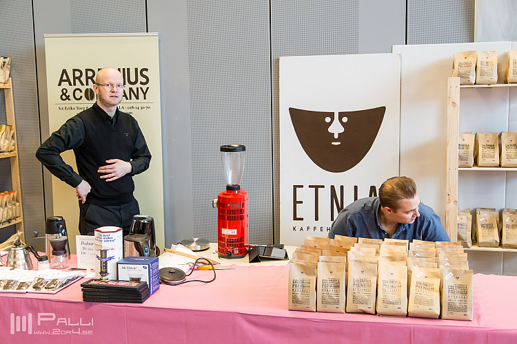 Timmen innan festivalen